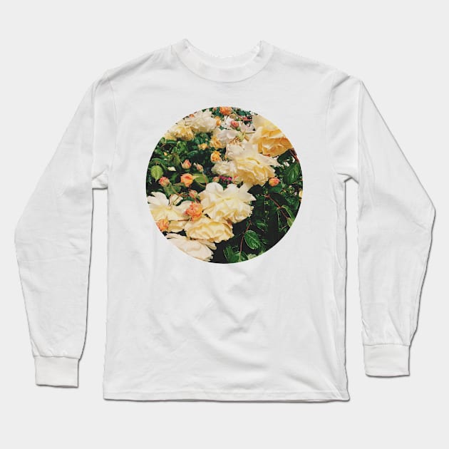 Rose Garden Long Sleeve T-Shirt by Cassia